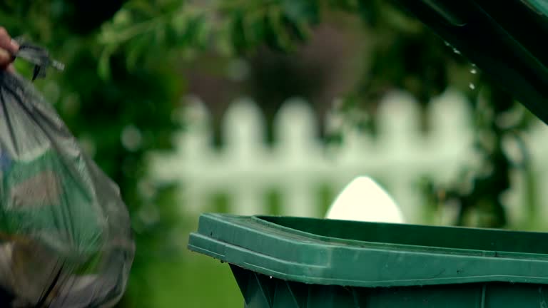 Best Hoarding Cleanup  in Lakeview, MI